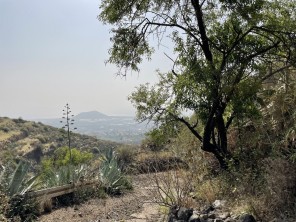 Vistas